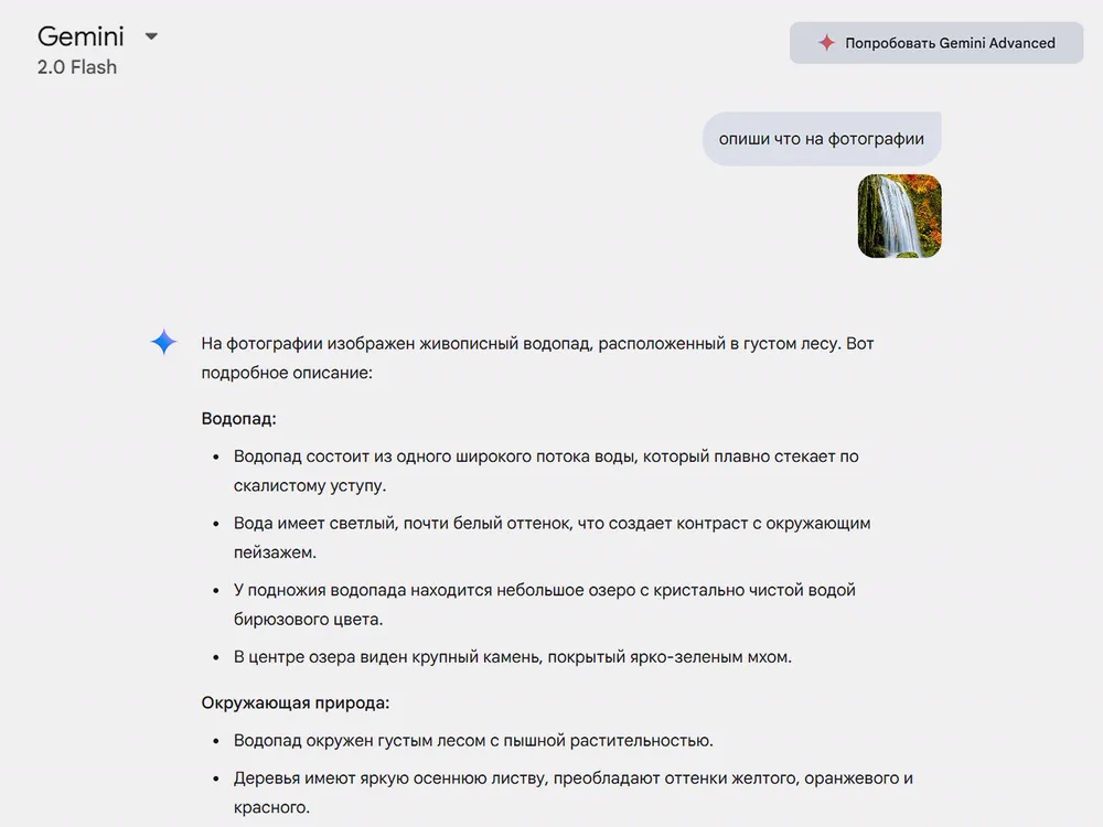 Скриншот: Gemini / Skillbox Media